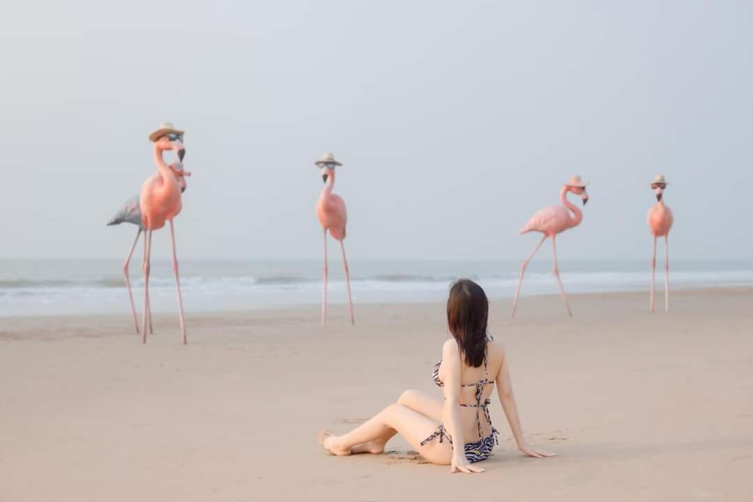 Ib306 Tu Doanh - Flamingo Hai Tien Thanh Hóa Zewnętrze zdjęcie